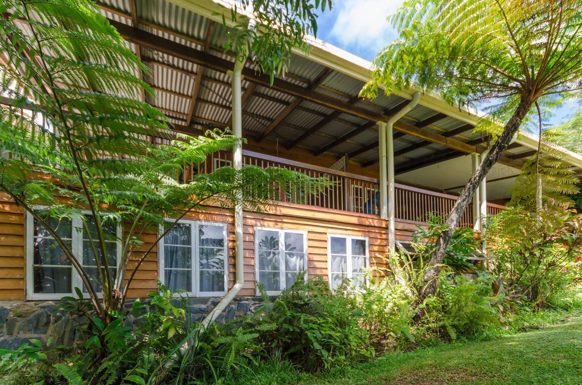 Epiphyte B & B Cow Bay Екстер'єр фото