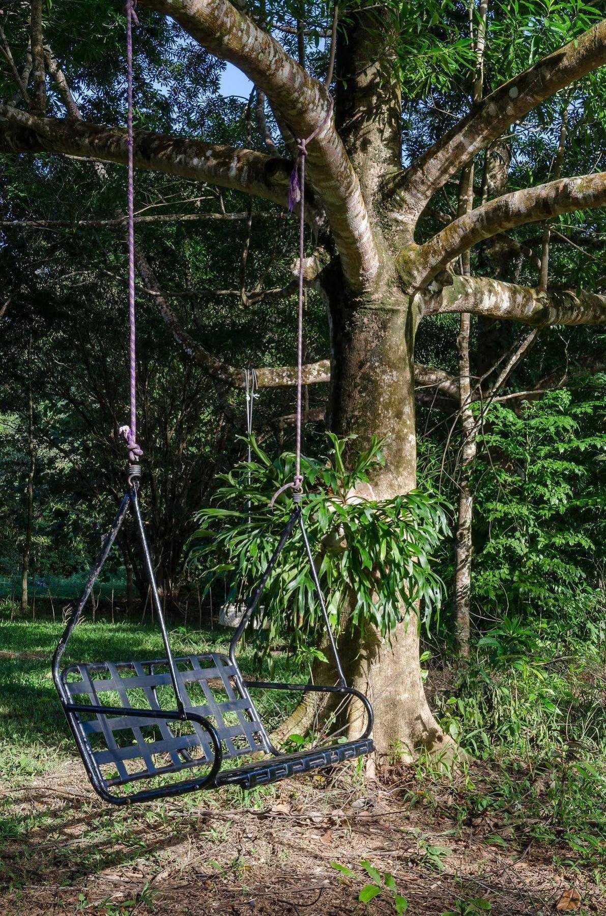 Epiphyte B & B Cow Bay Екстер'єр фото